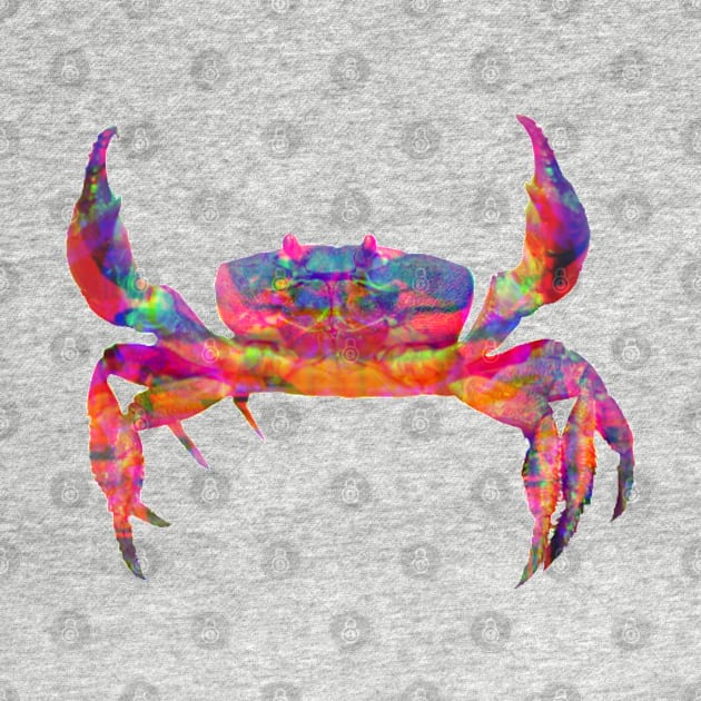 Trippy crab crustaceancore by F-for-Fab